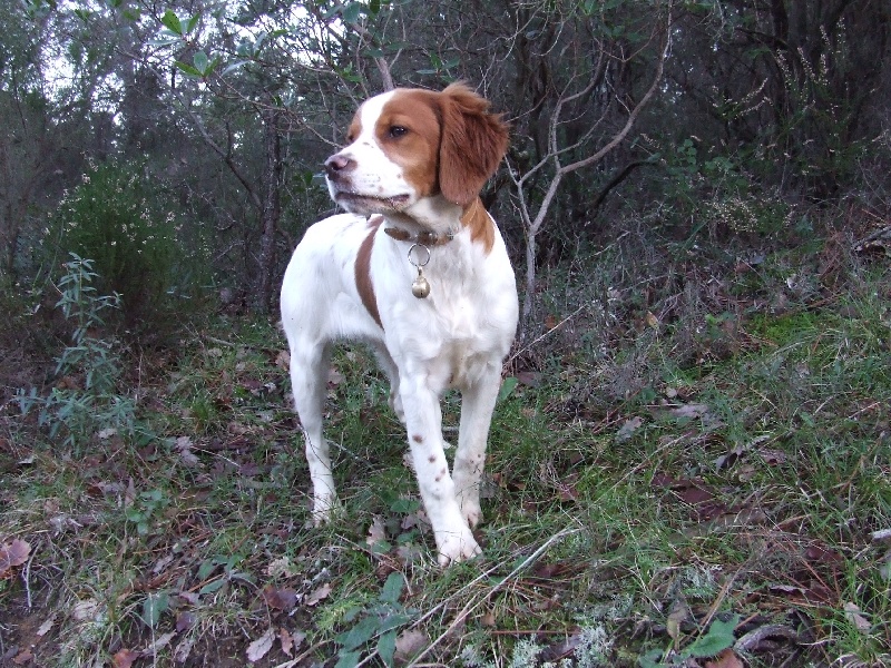 Enka du Vallon des Maures