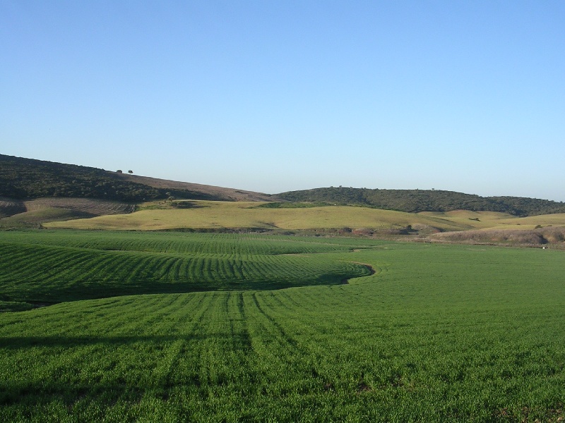 Entraînement Andalousie